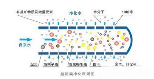 喝(hē)什麽水才(cai)健康 淨水器(qi)的(de)技(ji)術(shù)分(fēn)析